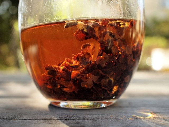 Cascara: freshness and vigor just in one cup